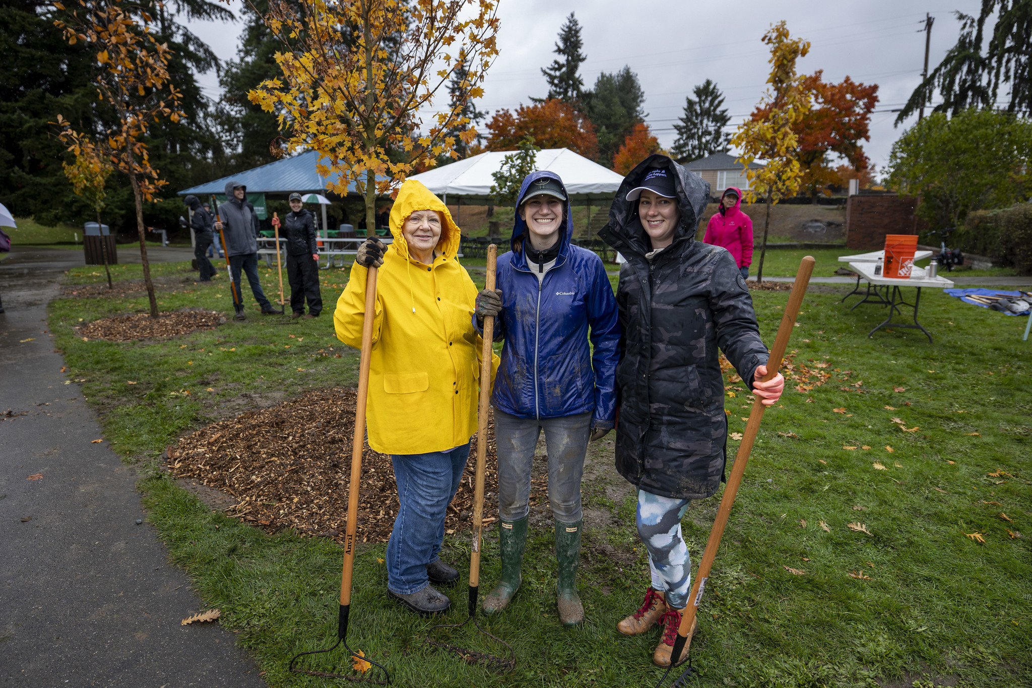 Member volunteers with rakes after planting trees in a public park